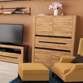 АФИНА А16а Шкаф МЦН Крафт в Полевском - polevskoy.ok-mebel.com | фото 2