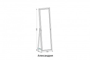АЛЕКСАНДРИЯ-9.1 Зеркало напольное в Полевском - polevskoy.ok-mebel.com | фото 2