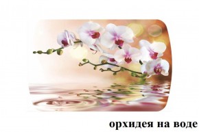 БОСТОН - 3 Стол раздвижной Орхидея на воде 1100/1420 опоры Триумф в Полевском - polevskoy.ok-mebel.com | фото 2