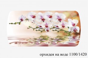 БОСТОН - 3 Стол раздвижной Орхидея на воде 1100/1420 опоры Триумф в Полевском - polevskoy.ok-mebel.com | фото 3
