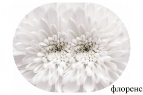 БОСТОН Стол круглый раздвижной 1080/1420 опоры Триумф в Полевском - polevskoy.ok-mebel.com | фото 12