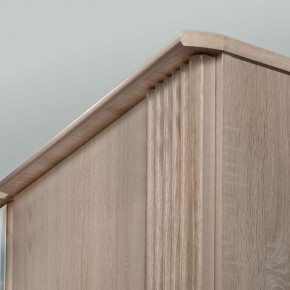 ДИАНА Д11А Шкаф для одежды в Полевском - polevskoy.ok-mebel.com | фото 5