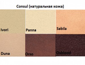 Диван двухместный Алекто Consul натуральная кожа в Полевском - polevskoy.ok-mebel.com | фото 5