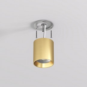 DK2610-SB Накладной светильник SHINE TUBE со светодиодом, D70*H80, IP20, 3000К, 10W, RA?90, сатинированная латунь, алюминий в Полевском - polevskoy.ok-mebel.com | фото 3