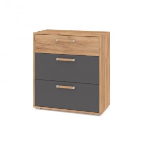 ФЛОРИДА Гостиная (модульная) дуб золотой/графит в Полевском - polevskoy.ok-mebel.com | фото 8
