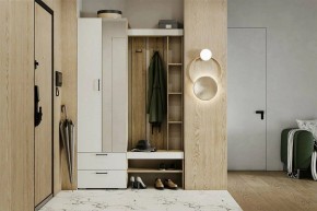 Гарнитур для прихожей Торонто в Полевском - polevskoy.ok-mebel.com | фото 5