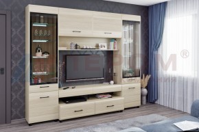 Гостиная Камелия Композиция 11 (Ясень Асахи) в Полевском - polevskoy.ok-mebel.com | фото