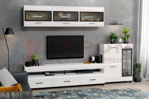 Гостиная Камелия Композиция 12 (Снежный ясень) в Полевском - polevskoy.ok-mebel.com | фото