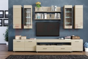 Гостиная Камелия Композиция 9 (Ясень Асахи) в Полевском - polevskoy.ok-mebel.com | фото