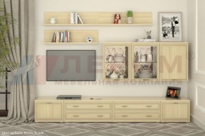 Гостиная Карина Композиция 10 (Ясень Асахи) в Полевском - polevskoy.ok-mebel.com | фото