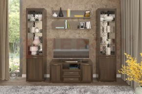 Гостиная Карина Композиция 13 (Акация Молдау) в Полевском - polevskoy.ok-mebel.com | фото