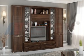 Гостиная Карина Композиция 19 (Акация Молдау) в Полевском - polevskoy.ok-mebel.com | фото 5