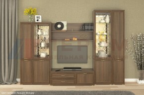 Гостиная Карина Композиция 24 (Акация Молдау) в Полевском - polevskoy.ok-mebel.com | фото
