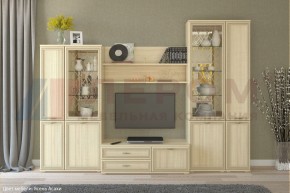 Гостиная Карина Композиция 24 (Ясень Асахи) в Полевском - polevskoy.ok-mebel.com | фото