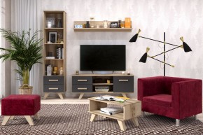 Гостиная Вега Скандинавия (комплект 5) в Полевском - polevskoy.ok-mebel.com | фото 2
