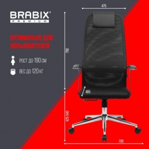 Кресло BRABIX PREMIUM "Ultimate EX-801" хром, плотная двойная сетка Х2, черное, 532917 в Полевском - polevskoy.ok-mebel.com | фото 7