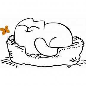 Кровать двухуровневая Кот № 900.1 ПРАВАЯ (туя светлая/белый) в Полевском - polevskoy.ok-mebel.com | фото 2