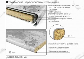 Кухонный фартук со столешницей (А-09) в едином стиле (3050 мм) в Полевском - polevskoy.ok-mebel.com | фото 6