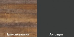 Кухонный гарнитур угловой Трансильвания 2400x1600 мм (Стол. 38 мм) Антрацит/Трансильвания в Полевском - polevskoy.ok-mebel.com | фото 3