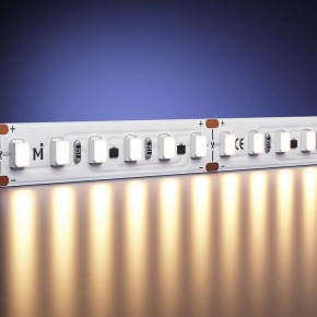 Лента светодиодная Maytoni  201121 в Полевском - polevskoy.ok-mebel.com | фото 2
