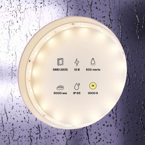 Лента светодиодная Maytoni Led strip 10105 в Полевском - polevskoy.ok-mebel.com | фото 2