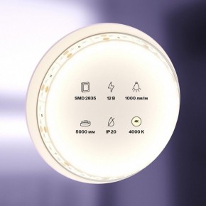 Лента светодиодная Maytoni Led strip 10109 в Полевском - polevskoy.ok-mebel.com | фото 2