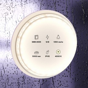 Лента светодиодная Maytoni Led strip 10118 в Полевском - polevskoy.ok-mebel.com | фото 2