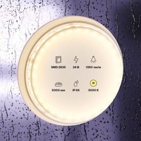 Лента светодиодная Maytoni Led strip 10151 в Полевском - polevskoy.ok-mebel.com | фото 3