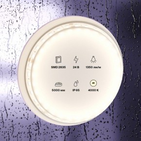 Лента светодиодная Maytoni Led strip 10152 в Полевском - polevskoy.ok-mebel.com | фото 2