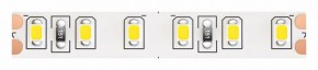 Лента светодиодная Maytoni Led strip 10153 в Полевском - polevskoy.ok-mebel.com | фото