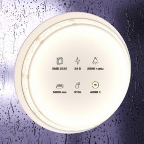 Лента светодиодная Maytoni Led strip 10158 в Полевском - polevskoy.ok-mebel.com | фото 2