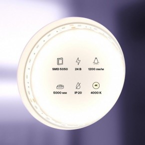 Лента светодиодная Maytoni Led strip 10169 в Полевском - polevskoy.ok-mebel.com | фото 2