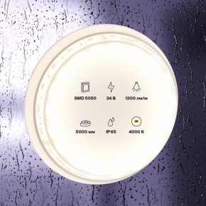 Лента светодиодная Maytoni Led strip 10172 в Полевском - polevskoy.ok-mebel.com | фото 2