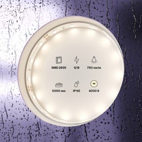 Лента светодиодная Maytoni Led strip 20005 в Полевском - polevskoy.ok-mebel.com | фото 2