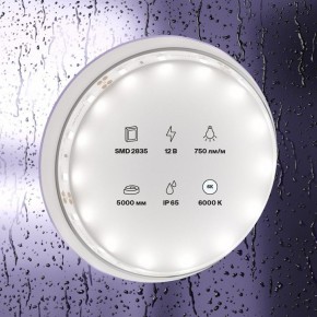 Лента светодиодная Maytoni Led strip 20006 в Полевском - polevskoy.ok-mebel.com | фото 2