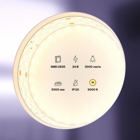 Лента светодиодная Maytoni Led strip 20031 в Полевском - polevskoy.ok-mebel.com | фото 2