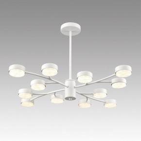 Люстра на штанге Lumion TORINA 8265/12 в Полевском - polevskoy.ok-mebel.com | фото 3