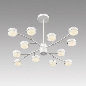 Люстра на штанге Lumion TORINA 8265/12 в Полевском - polevskoy.ok-mebel.com | фото 5