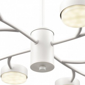 Люстра на штанге Lumion TORINA 8265/12 в Полевском - polevskoy.ok-mebel.com | фото 8