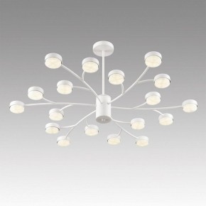 Люстра на штанге Lumion TORINA 8265/18 в Полевском - polevskoy.ok-mebel.com | фото 5