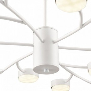Люстра на штанге Lumion TORINA 8265/18 в Полевском - polevskoy.ok-mebel.com | фото 8
