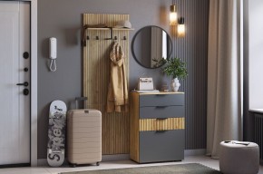 МЕБЕЛЬСОН К3 Прихожая (графит) в Полевском - polevskoy.ok-mebel.com | фото