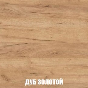 МСП-1 Шкаф 2-х створчатый (Дуб Золотой/Камень темный) в Полевском - polevskoy.ok-mebel.com | фото 4