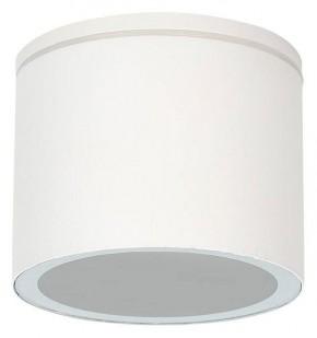 Накладной светильник Arte Lamp Piautos A1913PF-1WH в Полевском - polevskoy.ok-mebel.com | фото