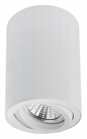 Накладной светильник Arte Lamp Sentry A1566PL-1WH в Полевском - polevskoy.ok-mebel.com | фото