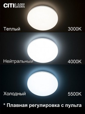 Накладной светильник Citilux Симпла CL714330G в Полевском - polevskoy.ok-mebel.com | фото 4