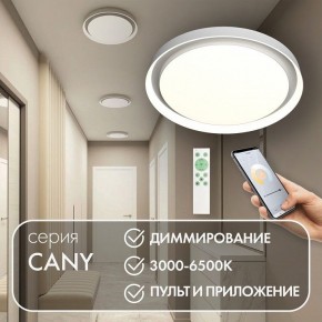 Накладной светильник Denkirs Cany DK6516-WH в Полевском - polevskoy.ok-mebel.com | фото 4