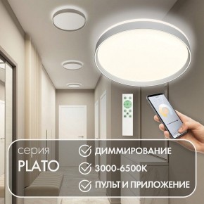 Накладной светильник Denkirs PLATO DK6511-WH/1 в Полевском - polevskoy.ok-mebel.com | фото 4