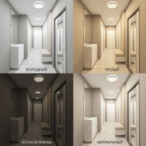 Накладной светильник Denkirs PLATO DK6511-WH/1 в Полевском - polevskoy.ok-mebel.com | фото 5
