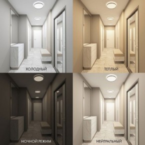 Накладной светильник Denkirs PLATO DK6511-WH в Полевском - polevskoy.ok-mebel.com | фото 3